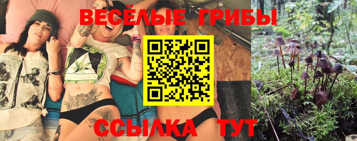 Галлюциногенные грибы Psilocybine cubensis Реж