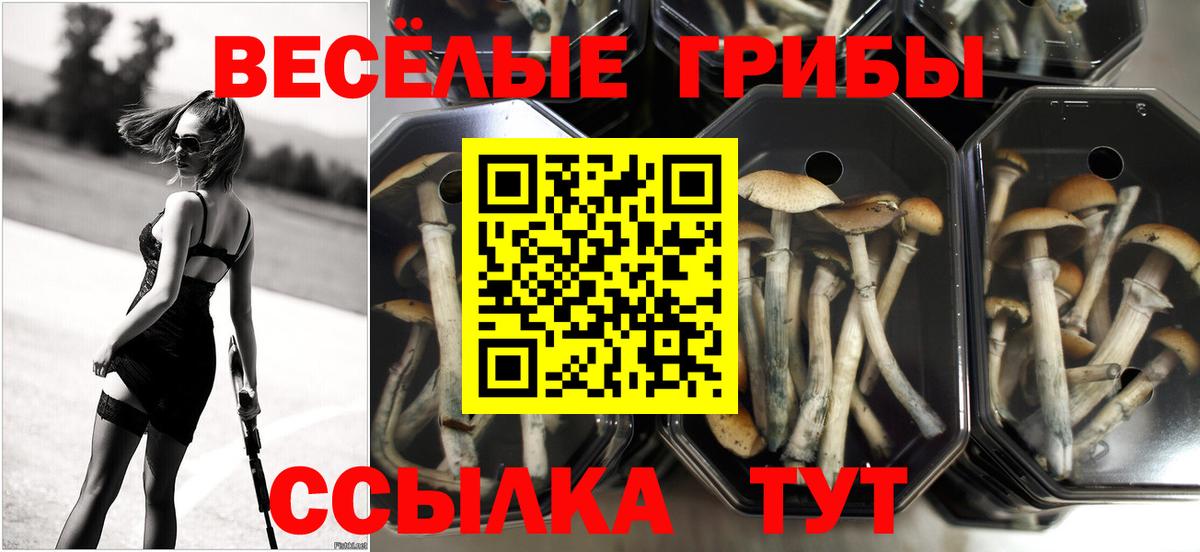 Галлюциногенные грибы мухоморы  Галлюциногенные грибы мицелий  Вход с VPN  Реж 